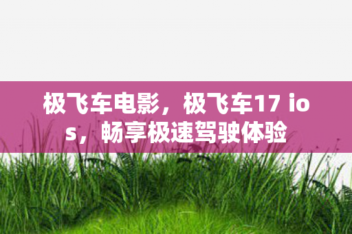 极飞车电影，极飞车17 ios，畅享极速驾驶体验