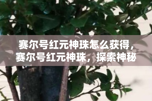 赛尔号红元神珠怎么获得,赛尔号红元神珠,探索神秘力量的奇幻之旅 赛尔号红元神珠怎么获得,赛尔号红元神珠,探索神秘力量的奇幻之旅