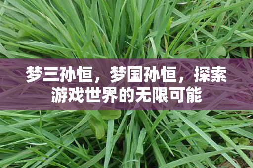 梦三孙恒，梦国孙恒，探索游戏世界的无限可能