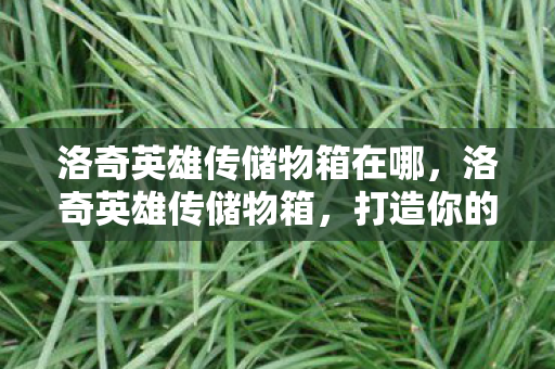 洛奇英雄传储物箱在哪，洛奇英雄传储物箱，打造你的专属宝藏