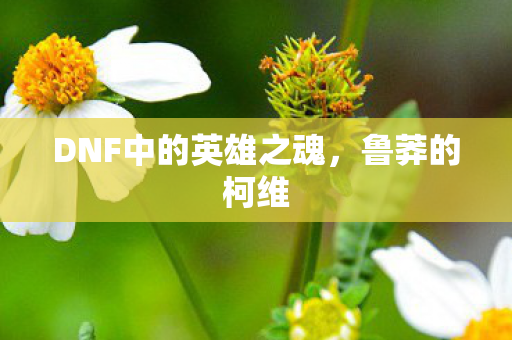 DNF中的英雄之魂,鲁莽的柯维 DNF中的英雄之魂,鲁莽的柯维