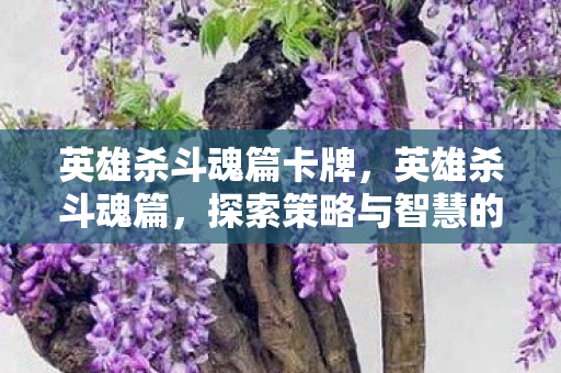 英雄杀斗魂篇卡牌，英雄杀斗魂篇，探索策略与智慧的深度碰撞