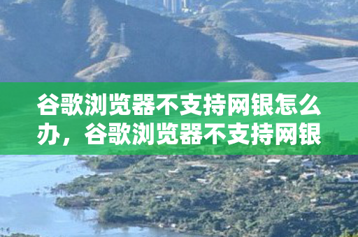谷歌浏览器不支持网银怎么办，谷歌浏览器不支持网银，用户需了解的限制与替代方案