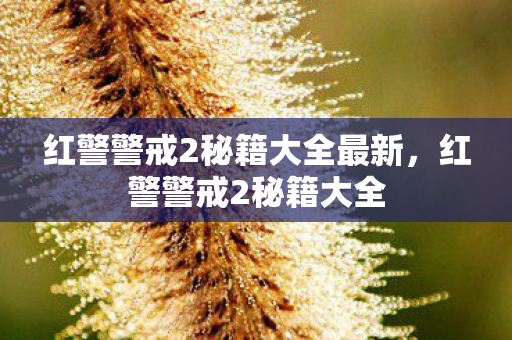 红警警戒2秘籍大全最新，红警警戒2秘籍大全