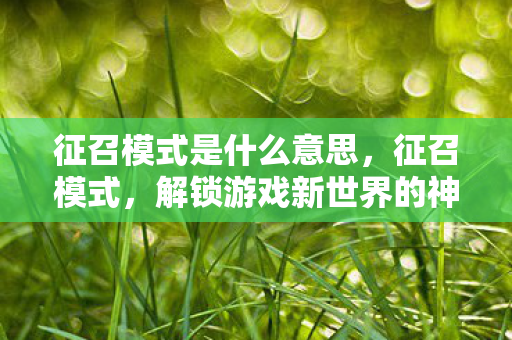 征召模式是什么意思，征召模式，解锁游戏新世界的神秘钥匙