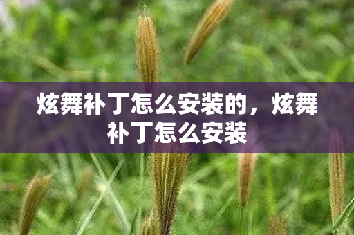 炫舞补丁怎么安装的,炫舞补丁怎么安装 炫舞补丁怎么安装的,炫舞补丁怎么安装