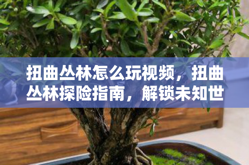 扭曲丛林怎么玩视频,扭曲丛林探险指南,解锁未知世界的奥秘 扭曲丛林怎么玩视频,扭曲丛林探险指南,解锁未知世界的奥秘