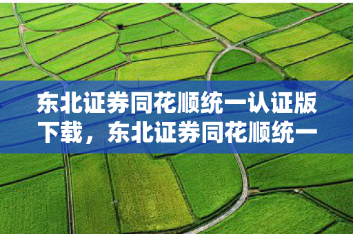 东北证券同花顺统一认证版下载，东北证券同花顺统一认证版，提升投资效率与安全性的重要一步