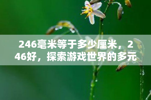 246毫米等于多少厘米,246好,探索游戏世界的多元体验与官方服务的独特优势 246毫米等于多少厘米,246好,探索游戏世界的多元体验与官方服务的独特优势