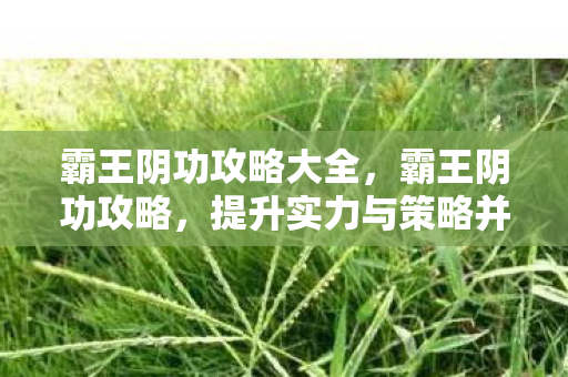 霸王阴功攻略大全，霸王阴功攻略，提升实力与策略并进的秘籍