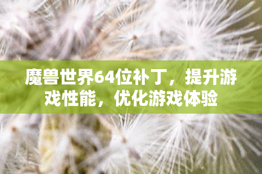 魔兽世界64位补丁,提升游戏性能,优化游戏体验 魔兽世界64位补丁,提升游戏性能,优化游戏体验