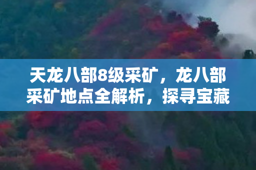 天龙八部8级采矿，龙八部采矿地点全解析，探寻宝藏的奥秘
