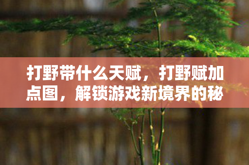 打野带什么天赋，打野赋加点图，解锁游戏新境界的秘籍