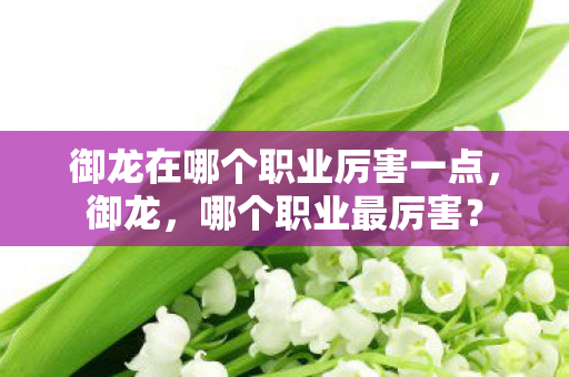 御龙在哪个职业厉害一点,御龙,哪个职业最厉害? 御龙在哪个职业厉害一点,御龙,哪个职业最厉害?