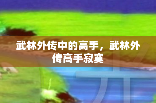 武林外传中的高手,武林外传高手寂寞 武林外传中的高手,武林外传高手寂寞