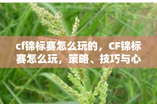 cf锦标赛怎么玩的,CF锦标赛怎么玩,策略、技巧与心态 cf锦标赛怎么玩的,CF锦标赛怎么玩,策略、技巧与心态