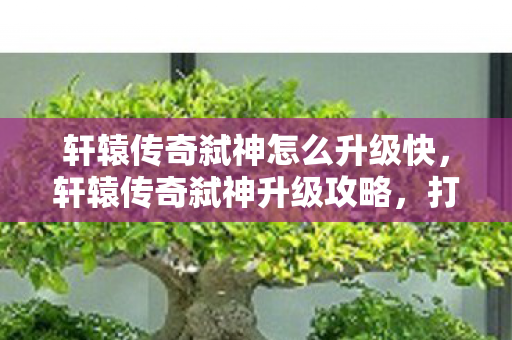 轩辕传奇弑神怎么升级快,轩辕传奇弑神升级攻略,打造强力角色,征服游戏世界 轩辕传奇弑神怎么升级快,轩辕传奇弑神升级攻略,打造强力角色,征服游戏世界