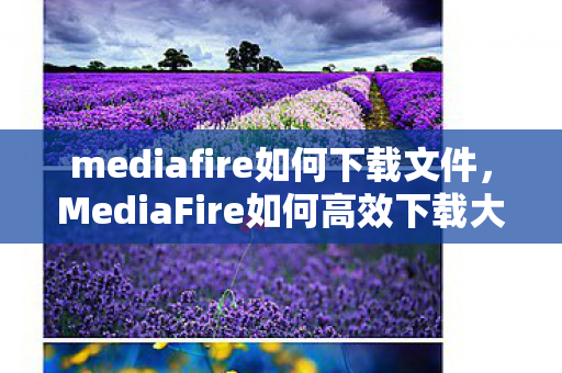 mediafire如何下载文件,MediaFire如何高效下载大文件与多文件 mediafire如何下载文件,MediaFire如何高效下载大文件与多文件