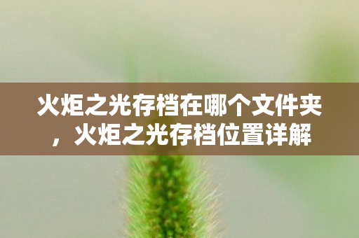 火炬之光存档在哪个文件夹,火炬之光存档位置详解 火炬之光存档在哪个文件夹,火炬之光存档位置详解