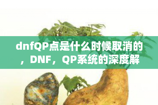 dnfQP点是什么时候取消的，DNF，QP系统的深度解析与提升策略