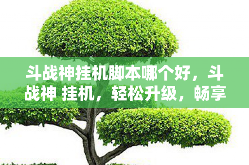 斗战神挂机脚本哪个好,斗战神 挂机,轻松升级,畅享游戏乐趣 斗战神挂机脚本哪个好,斗战神 挂机,轻松升级,畅享游戏乐趣