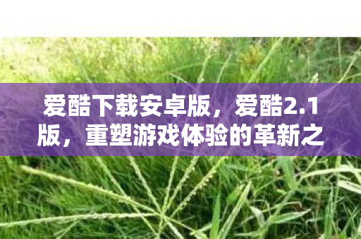 爱酷下载安卓版,爱酷2.1版,重塑游戏体验的革新之作 爱酷下载安卓版,爱酷2.1版,重塑游戏体验的革新之作