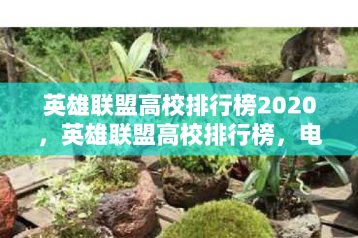 英雄联盟高校排行榜2020,英雄联盟高校排行榜,电竞热血与青春梦想 英雄联盟高校排行榜2020,英雄联盟高校排行榜,电竞热血与青春梦想