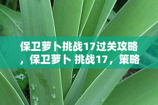 保卫萝卜挑战17过关攻略,保卫萝卜 挑战17,策略与智慧的双重考验 保卫萝卜挑战17过关攻略,保卫萝卜 挑战17,策略与智慧的双重考验