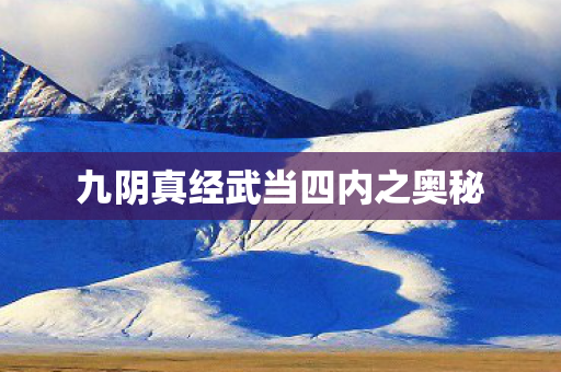九阴真经武当四内之奥秘 九阴真经武当四内之奥秘