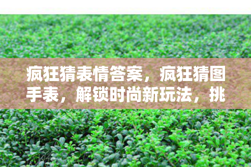 疯狂猜表情答案,疯狂猜图手表,解锁时尚新玩法,挑战你的想象力! 疯狂猜表情答案,疯狂猜图手表,解锁时尚新玩法,挑战你的想象力!