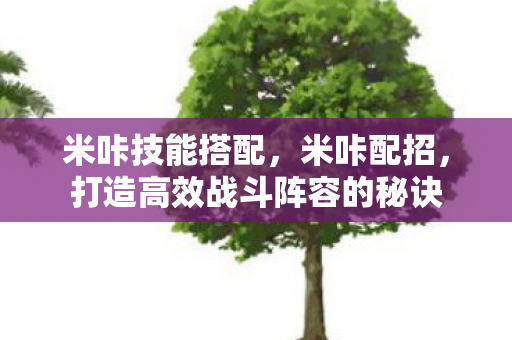 米咔技能搭配,米咔配招,打造高效战斗阵容的秘诀 米咔技能搭配,米咔配招,打造高效战斗阵容的秘诀
