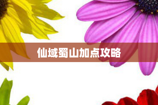 仙域蜀山加点攻略 仙域蜀山加点攻略