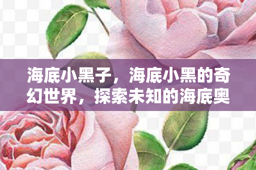 海底小黑子，海底小黑的奇幻世界，探索未知的海底奥秘