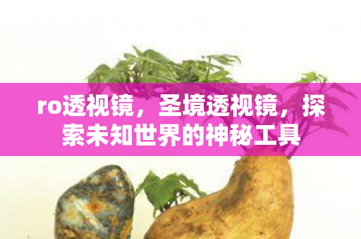 ro透视镜,圣境透视镜,探索未知世界的神秘工具 ro透视镜,圣境透视镜,探索未知世界的神秘工具