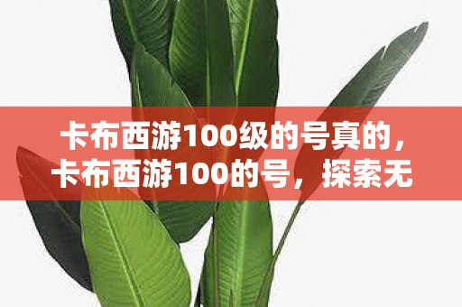 卡布西游100级的号真的，卡布西游100的号，探索无限可能的冒险之旅