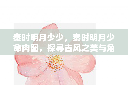秦时明月少少,秦时明月少命肉图,探寻古风之美与角色魅力 秦时明月少少,秦时明月少命肉图,探寻古风之美与角色魅力