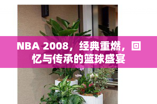 NBA 2008,经典重燃,回忆与传承的篮球盛宴 NBA 2008,经典重燃,回忆与传承的篮球盛宴