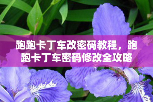 跑跑卡丁车改密码教程,跑跑卡丁车密码修改全攻略 跑跑卡丁车改密码教程,跑跑卡丁车密码修改全攻略