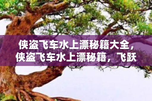 侠盗飞车水上漂秘籍大全,侠盗飞车水上漂秘籍,飞跃水面的极致技巧 侠盗飞车水上漂秘籍大全,侠盗飞车水上漂秘籍,飞跃水面的极致技巧