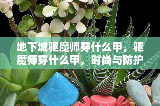 地下城驱魔师穿什么甲，驱魔师穿什么甲，时尚与防护的完美结合