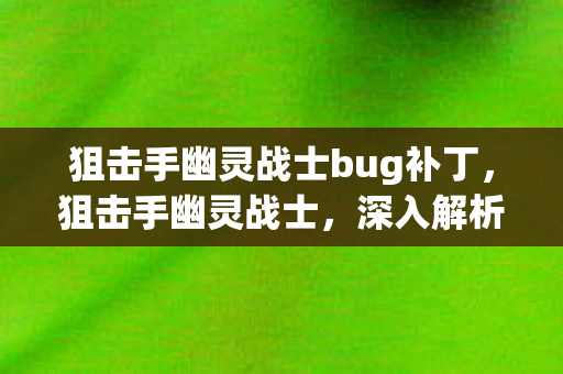 狙击手幽灵战士bug补丁,狙击手幽灵战士,深入解析游戏BUG 狙击手幽灵战士bug补丁,狙击手幽灵战士,深入解析游戏BUG