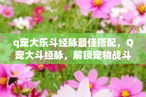 q宠大乐斗经脉最佳搭配,Q宠大斗经脉,解锁宠物战斗新境界 q宠大乐斗经脉最佳搭配,Q宠大斗经脉,解锁宠物战斗新境界