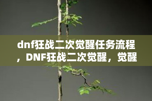 dnf狂战二次觉醒任务流程,DNF狂战二次觉醒,觉醒之力,再战巅峰 dnf狂战二次觉醒任务流程,DNF狂战二次觉醒,觉醒之力,再战巅峰