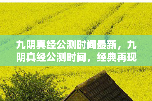 九阴真经公测时间最新,九阴真经公测时间,经典再现,江湖再续 九阴真经公测时间最新,九阴真经公测时间,经典再现,江湖再续