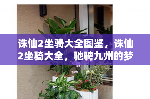 诛仙2坐骑大全图鉴,诛仙2坐骑大全,驰骋九州的梦幻坐骑盘点 诛仙2坐骑大全图鉴,诛仙2坐骑大全,驰骋九州的梦幻坐骑盘点