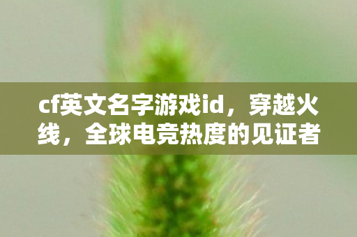 cf英文名字游戏id,穿越火线,全球电竞热度的见证者 cf英文名字游戏id,穿越火线,全球电竞热度的见证者