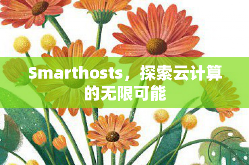 Smarthosts，探索云计算的无限可能
