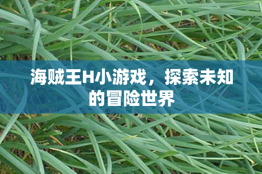 海贼王H小游戏,探索未知的冒险世界 海贼王H小游戏,探索未知的冒险世界