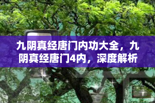 九阴真经唐门内功大全，九阴真经唐门4内，深度解析唐门四内心法，揭秘其独特魅力与实战应用