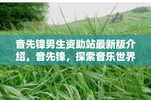 音先锋男生资助站最新版介绍,音先锋,探索音乐世界的无限可能 音先锋男生资助站最新版介绍,音先锋,探索音乐世界的无限可能